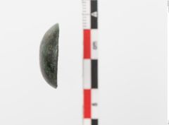 Foto von Bronzeknopf (NHMW-PRAE-023759)